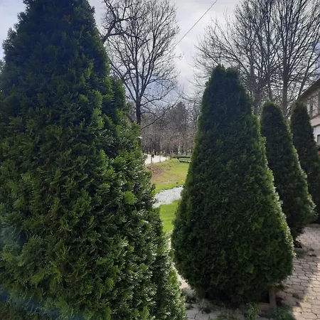 Jelena M Daire Vrnjačka Banja