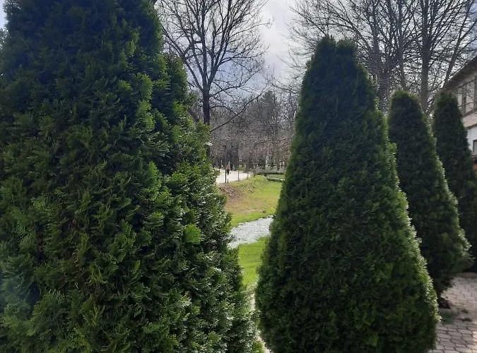 Jelena M 아파트 Vrnjačka Banja